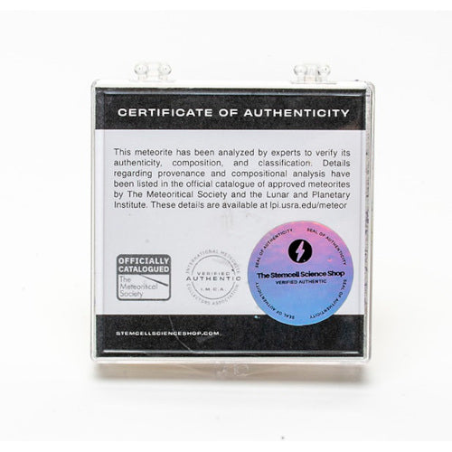 Allende Meteorite - .5g - Image 2