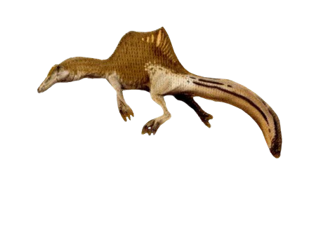 Spinosaurus Patch